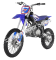 Apollo DB-Z40 Max 140cc Dirt Bike Pit Bike 4 Speed Manual Transmission