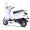 Wolf Lucky 50cc Gas Scooter Moped 49cc Street Legal 2 Year Warranty