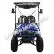 Massimo MGC4X Crew Electric Vehicle UTV Golf Cart 48V - 6 Seat
