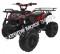 Cougar UT-125 125cc Kids ATV Utility Semi-Auto Quad with Reverse