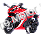 Falcon 250cc Scooter Motorcycle EFI Bike | Automatic Transmission