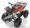 Apollo Focus 125cc Kid ATV Utility Style Kids Fully Automatic Quad