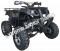 Extreme Cougar 200cc Utility ATV 4 Wheeler Quad Automatic Transmission