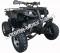 Extreme Cougar 200cc Utility ATV 4 Wheeler Quad Automatic Transmission