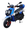 Vitacci Zuma 150cc Scooter Street Legal Moped GY6 Gas Scooter