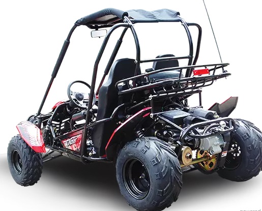 Buggy 150cc Go Kart Wiring Diagram - 26