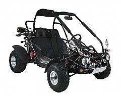 Adult Go Kart 250cc - 300cc