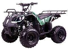 ATV Parts 125cc