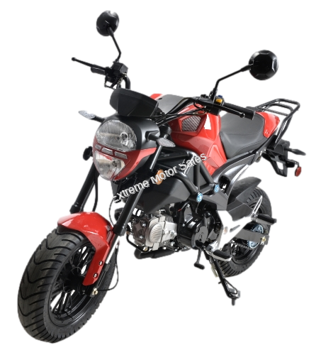 Moto Honda Mini Street X-Trem 125