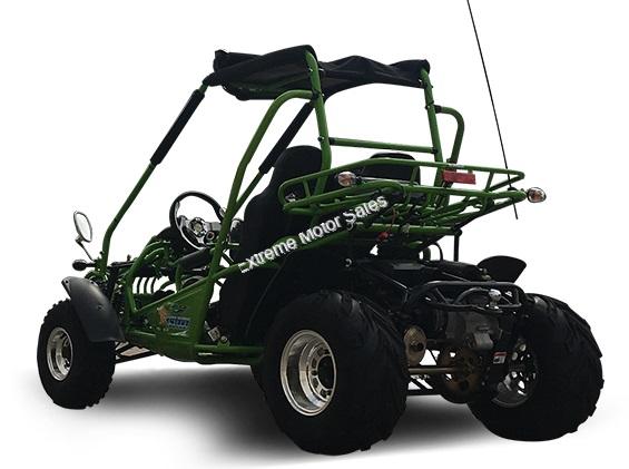 trailmaster dune buggy