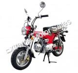 Champion 125cc | Motorcycle CT70 Honda Clone | PBZ125-2