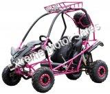 Snake Eyes 125cc Kids Go Cart Off Road Buggy Youth Go Kart 2 Seat