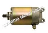 Electric Starter Motor for 250cc 4-stroke water-cooled CN250 172mm engines