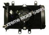 Radiator Assembly and Cooling Fan for 250cc 4-stroke Scooters ATVs Karts