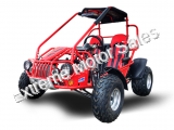 Trailmaster 200E XRS Go Cart Go Kart EFI Fully Automatic Buggy
