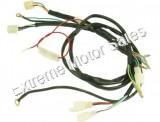 Dirt Bike General Wiring Harness 4 Stroke Chinese Pit Bike