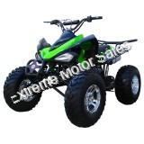 Snake Eyes 200cc ATV Full Size Sport QUAD Kids Automatic 4 Wheeler