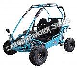 ACE G125 125cc Kids Go Cart Go Kart Off Road Buggy Youth