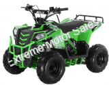 Mini Commander 110cc Kids ATV Quad 4 Wheeler Speed Governor