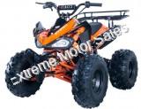 Alpine Jet 9 125cc Kids ATV Sport Fully-Auto Quad with Reverse