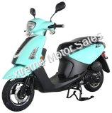 Gator Jog 50 50cc 4 Stroke Moped Scooter 49cc Electric Start Retro Style