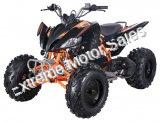 Pentora 150cc ATV Sport Quad 4 Wheeler Automatic Transmission