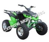 Extreme Hawk 200cc Sport ATV 4 Wheeler Quad Automatic Transmission