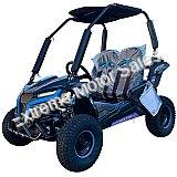 TrailMaster Cheetah i6 Electric Go Kart Go Cart Buggy 650W