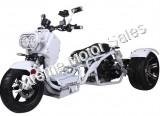 Icebear Maddog PST50-19N 50cc Trike Scooter | Ruckus Clone