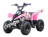Racer 110cc Kids ATV Quad with Reverse Youth 4 Wheeler