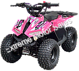Vitacci RXR-110 Kids 110cc ATV Pink