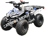 VT RXR-110 Kids 110cc ATV Fully Automatic 4 Wheeler Utility