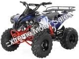 Apollo Sport Trax Kid 125cc ATV Utility Style Quad Kids Automatic 4 Wheeler