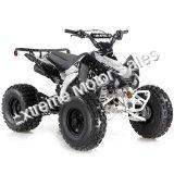 Apollo Blazer9 125cc Sport ATV Kids Quad 9 inch Wheel 4 Wheeler