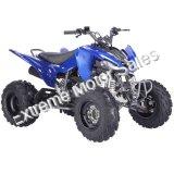 Pentora 250cc ATV Manual Transmission Off Road Quad 4 Wheeler Sport