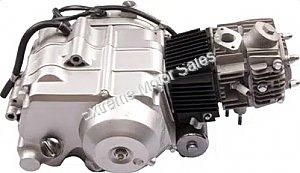 Coolster 213A 110cc Dirt Bike 4-stroke Engine Automatic Transmission