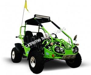 dune buggy kart