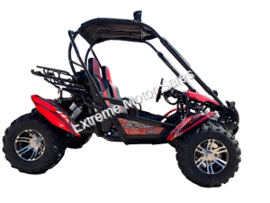 Trailmaster Blazer 200EX Buggy Go Kart EFI | Extreme Motor Sales