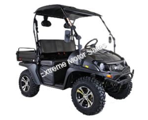 Linhai Yamaha Bighorn 200GVX Golf Cart UTV Black