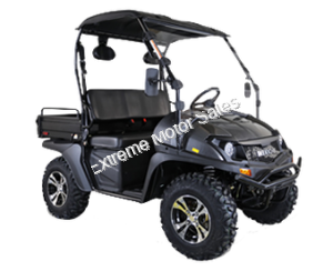 HJS Bighorn 200 GVX DF Hi Lo Utility Vehicle SXS UTV Golf Cart