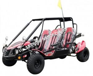 Trailmaster Blazer4 200EX Go Cart GoKart Dune Buggy 4 Seat | EFI