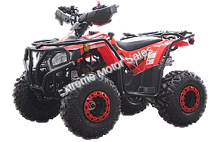 Extreme DF200ATS 200cc ATV Quad Full Size Utility 4 Wheeler