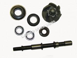 Tank Touring 250cc Scooter Water Pump Assembly