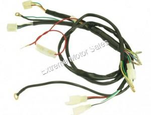 Mini ATV General Wiring Harness Chinese 4 Wheeler 50cc 70cc 110cc