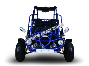 TM 300 XRX Deluxe 300cc  Blue Go Cart Dune Buggy