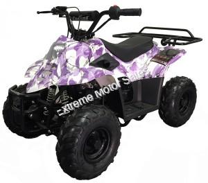 Panther Kids 110cc ATV  Youth Quad With Parent Remote Control