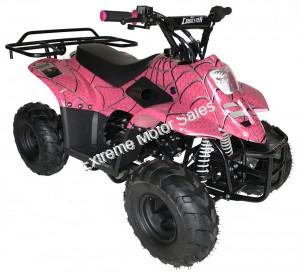 Panther Kids 110cc ATV  Youth Quad With Parent Remote Control