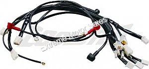 Coolster ATV-3050D 3125B Complete Wiring Harness DQL-EA004
