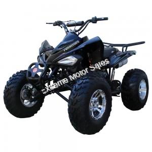 Snake Eyes 200cc ATV Full Size Sport QUAD Kids Automatic 4 Wheeler