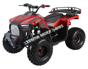 Wolfeye 3125F 125cc Kids Sport Utility ATV Automatic with Reverse Quad